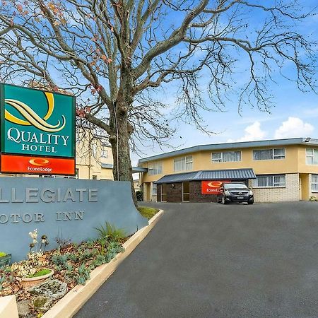 Quality Inn Collegiate Whanganui Exterior photo